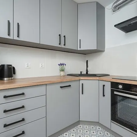 Spacious In Center With Balcony And Desk By Renters * Βρότσλαβ
